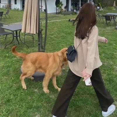 十诫Ⅱ：进退维谷